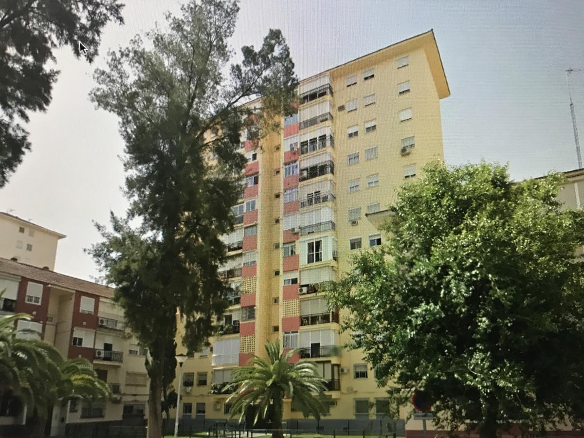 Gifsa Sevilla - Parque Alcosa Exteriér fotografie
